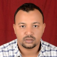 Ali Ahmed