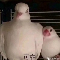 徐文辉