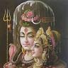 Vijender Baikani
