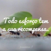 Marco Paulo