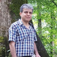 Majid Basiri