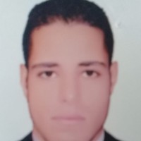 Mohsen Ramadan