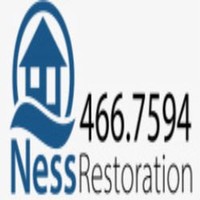 Ness Llc