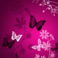 Brankica Ilic Cajic