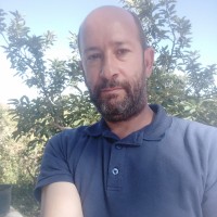 Ercan Gül
