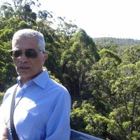 Ahmed Elayashy