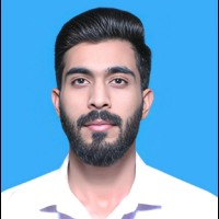 Muhammad Zulqarnain