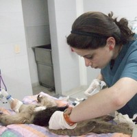 Diana Isabel Buitrago