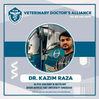 Dr Kazim Raza