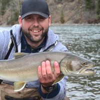Kyle Handziuk