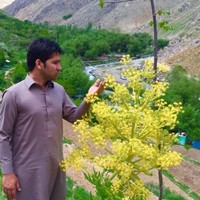 Obaid Afshan