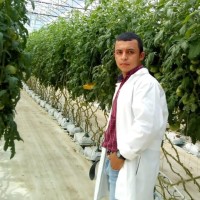 Luis Wilfredo Garcia De Paz