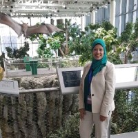 Ghada Ibrahim