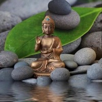 Palanivel Kalyanasundaram