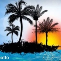 Cocotto Crypto networker