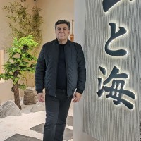 Mohamad reza Minaeyn