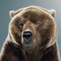 Максим Логинов