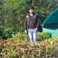 Ankush Kumar Kumar