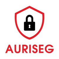 auriseg infosec