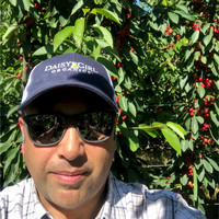 Luis Hormazabal Rojas