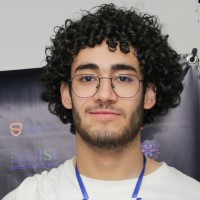 Mohamed Amine Ouerfelli