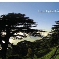 Rabiaa Masri