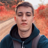 Carlos Henrique Theis Da Silva