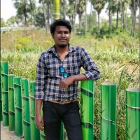 Dinesh B