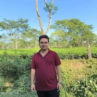 Shanku Roy