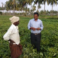 Takkellapati Sada Siva Rao