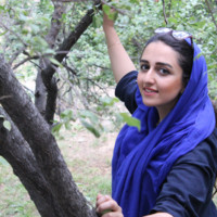 Shima Shayesteh