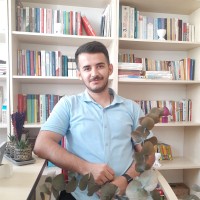 Abdlrahem Alwajedi
