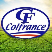 Direccion Financiera Colfrance