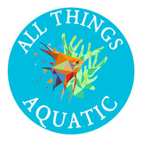 All Things