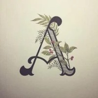 Anish Nk