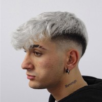 Enrico Milo