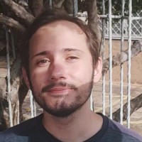 Pedro Henrique Martins Candido da Silva