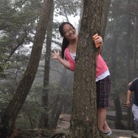 Ding Vicky