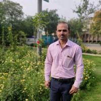 Vikas Holkar