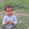 Vijay bhan
