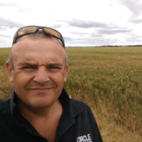 Andy Worland