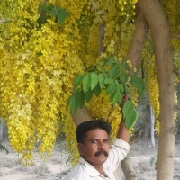 Baikunth Singh