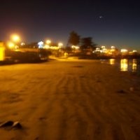 paula quintanilla harvey