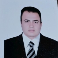 Hasan Elsharnoby