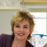 Phyllis Cook