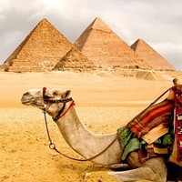 Egypt Holidays
