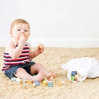 Kitty Carpet Cleaning Pros