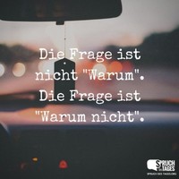 Max Naumann