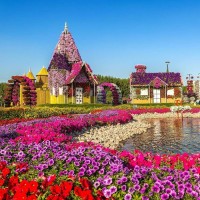 Ani Kouzouian bekarian