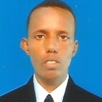 M Mohamed Hassan